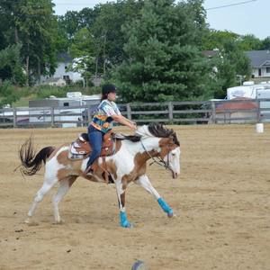 Meet your Posher, Lizzie